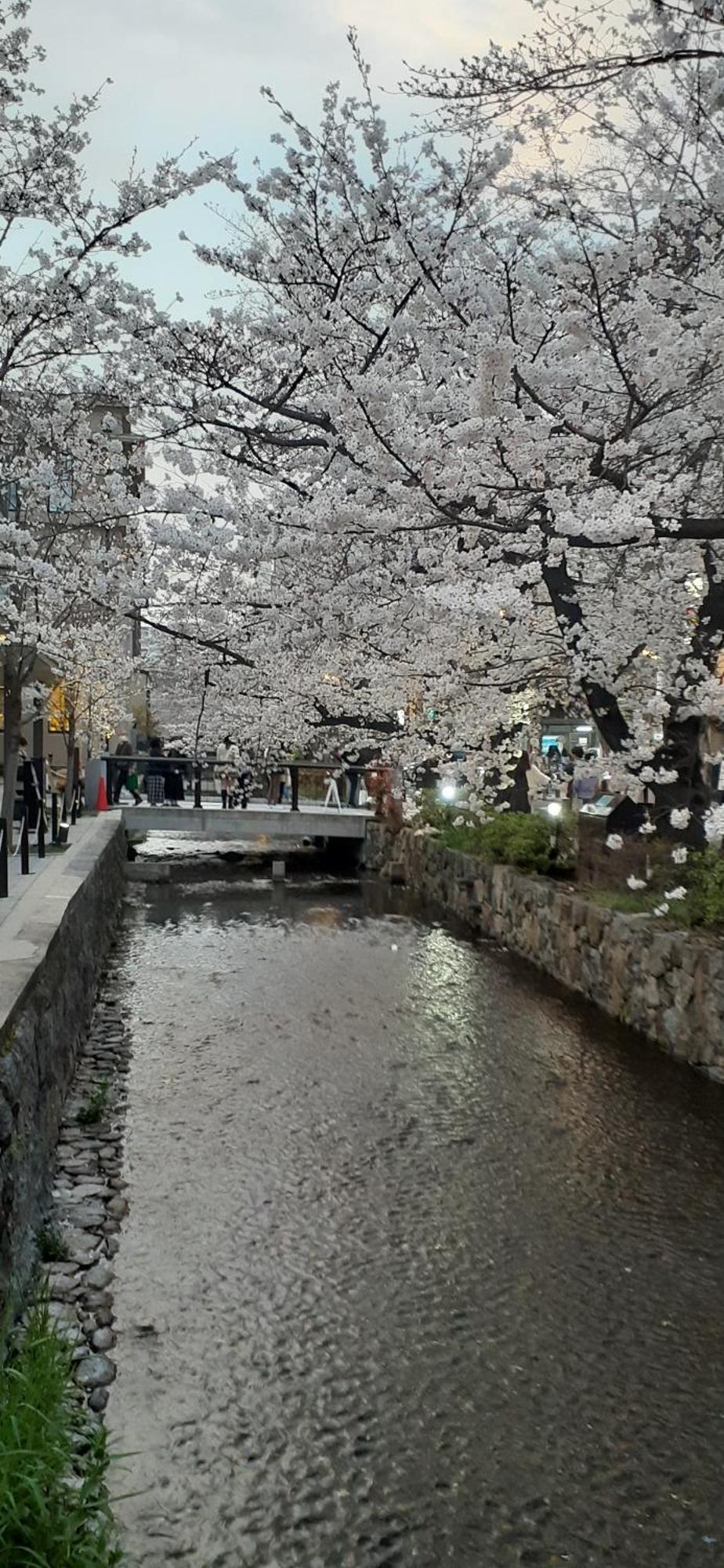 Izutsu Hotel Takasegawa Kyoto Exterior photo